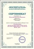 Всероссийский вебинар "ФГОС ДО и познавательное развитие ребенка - дошкольника" 18.03.19 Всероссийский вебинар "ФГОС ДО и познавательное развитие ребенка - дошкольника" 18.03.19