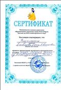 Презентация авторского методического пособия 27.02.19 Презентация авторского методического пособия 27.02.19